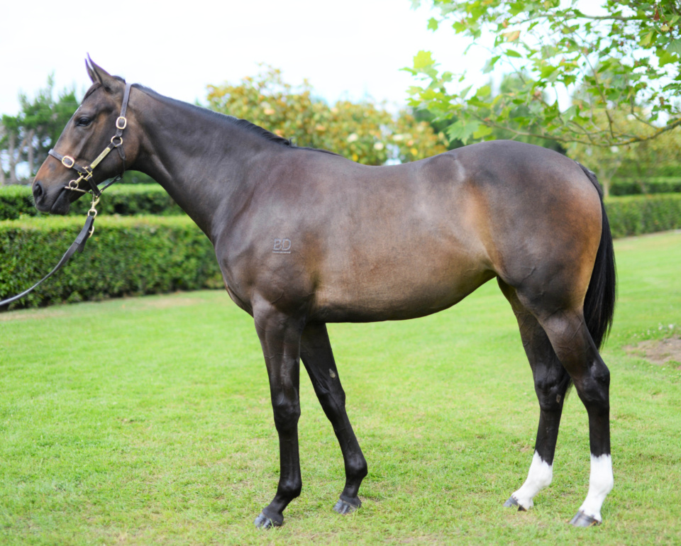 Supermodel looks & a blueblood pedigree