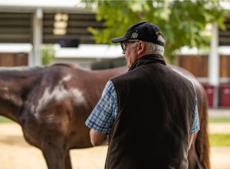 Creation Of Midway Races As Part Of Prizemoney Increases Of $20 million