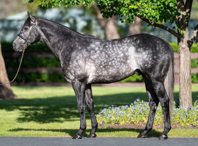 Fourth Debut Winner for Caravaggio