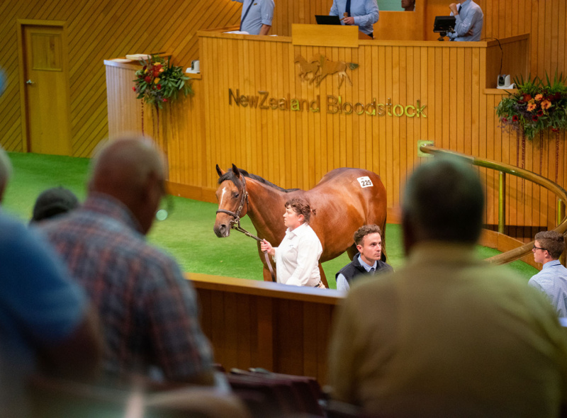 Karaka a roaring success