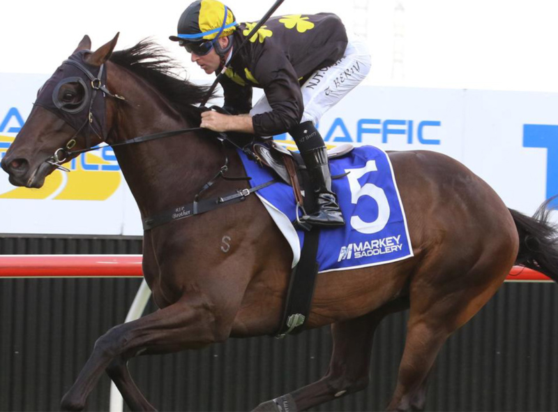 Flemington test for Favreau