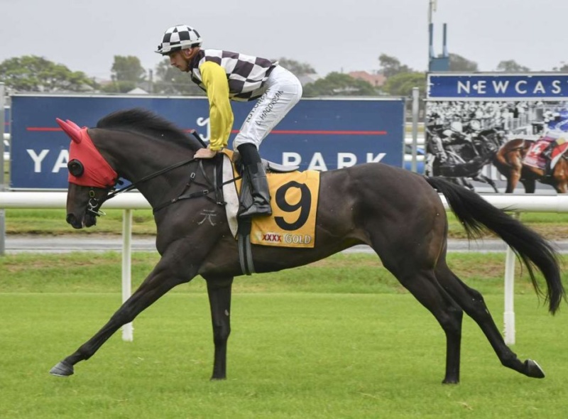 Astute yearling purchases reap rewards