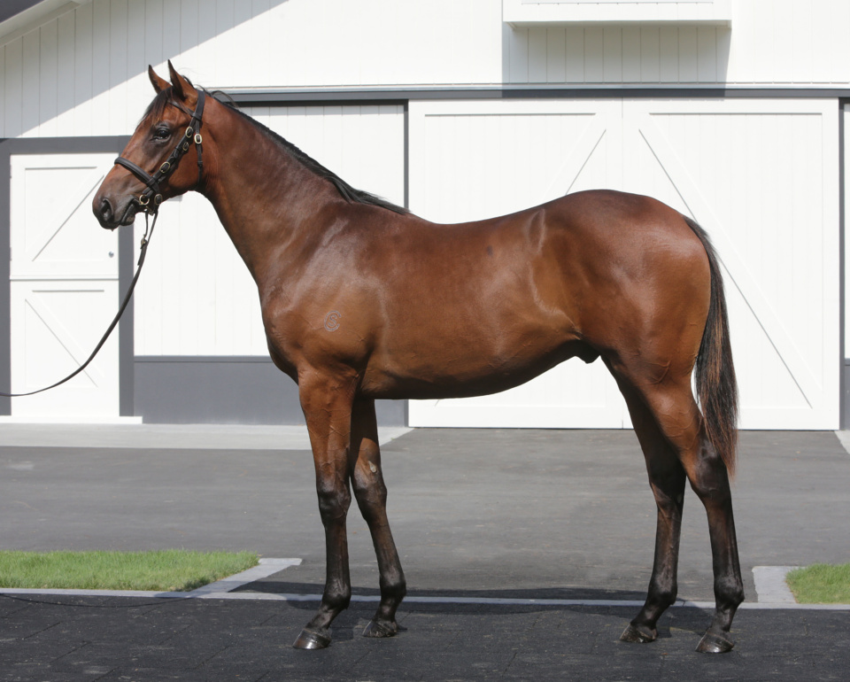 On his way to the Derby?